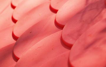 Holbeach plastic roof costs